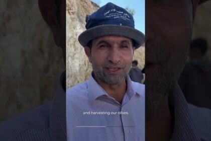 Israeli settlers attack Palestinian farmers during olive harvest