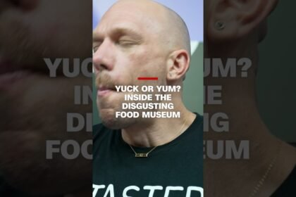 The museum of disgusting food