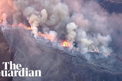 Aerial footage shows Bouquet wildfire burning in California national forest