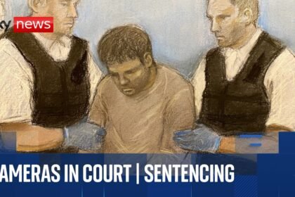 Uber driver who killed dog walker in Uxbridge stabbing spree faces sentencing