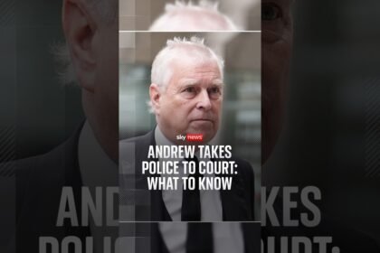 Andrew takes police to court: what to know