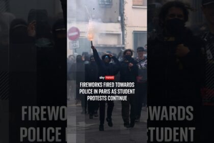 Fireworks fired towards police in Paris as student protests continue