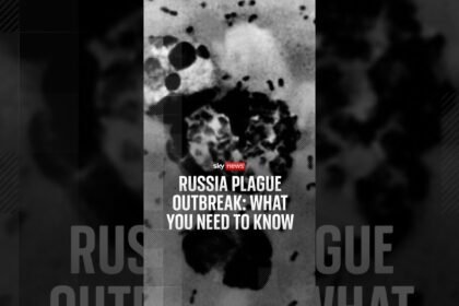 Russia plague outbreak: what you need to know