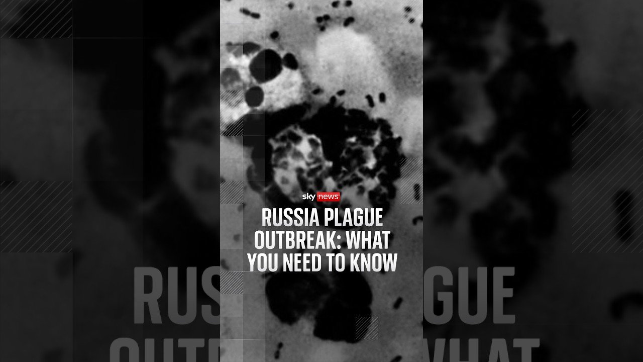 Russia plague outbreak: what you need to know