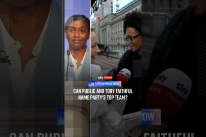 'Is that Remy?': Can public and Tory faithful name party's top team?