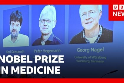 Nobel Prize awarded for revealing inner workings of the brain | BBC News
