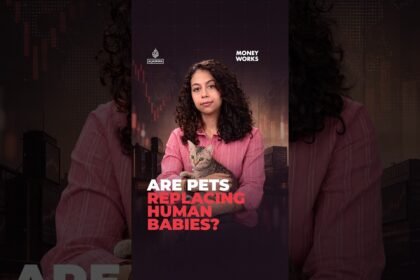 Are pets replacing human babies?