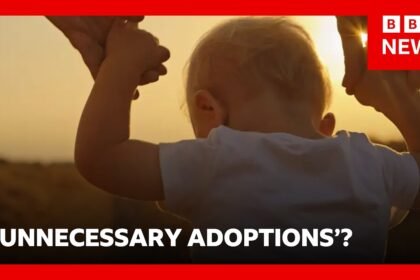 Rise in babies in care proceedings raises fears of unnecessary adoptions, experts say | BBC News