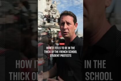 How it feels to be in the thick of the French school student protests