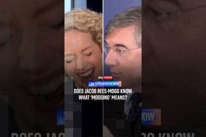 Does Jacob Rees-Mogg know what 'mogging' means?