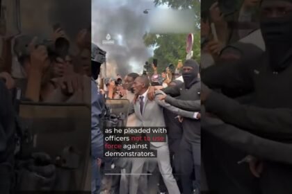 French mayor tear-gassed after shielding protesters from police | AJ #shorts