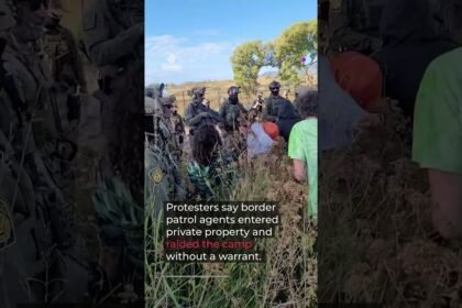 Tree nearly as old as US torn down to expand Mexico border wall | AJ #shorts