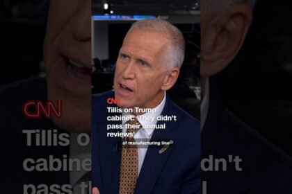 Tillis on Trump cabinet: 'They didn't pass their annual reviews'