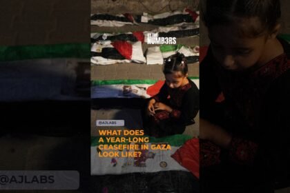 What does a year-long ceasefire in Gaza look like? | By the Numbers