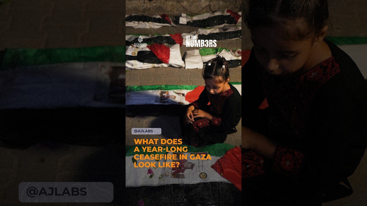 What does a year-long ceasefire in Gaza look like? | By the Numbers