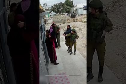 Israeli soldier assaults Palestinian woman in occupied West Bank | AJ #shorts
