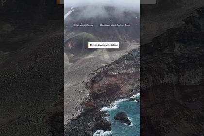 World’s largest penguin colony loses its crown