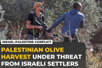Israeli army, settlers target Palestinian olive harvest in occupied West Bank