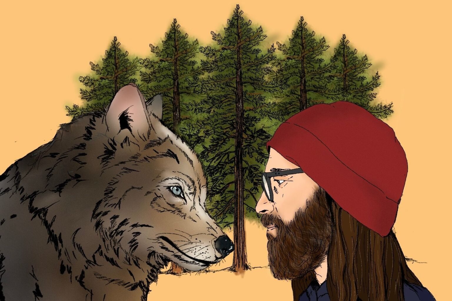 Wolf encounter: A photographer on what humans have lost