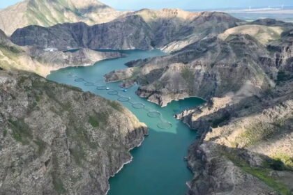 China Wants to Sell The World on Xinjiang Farmed-Fish