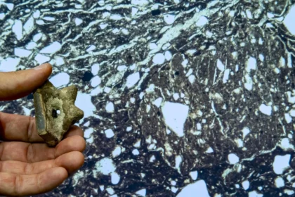 Archaeologists may have finally solved a 100-year-old Florida mystery