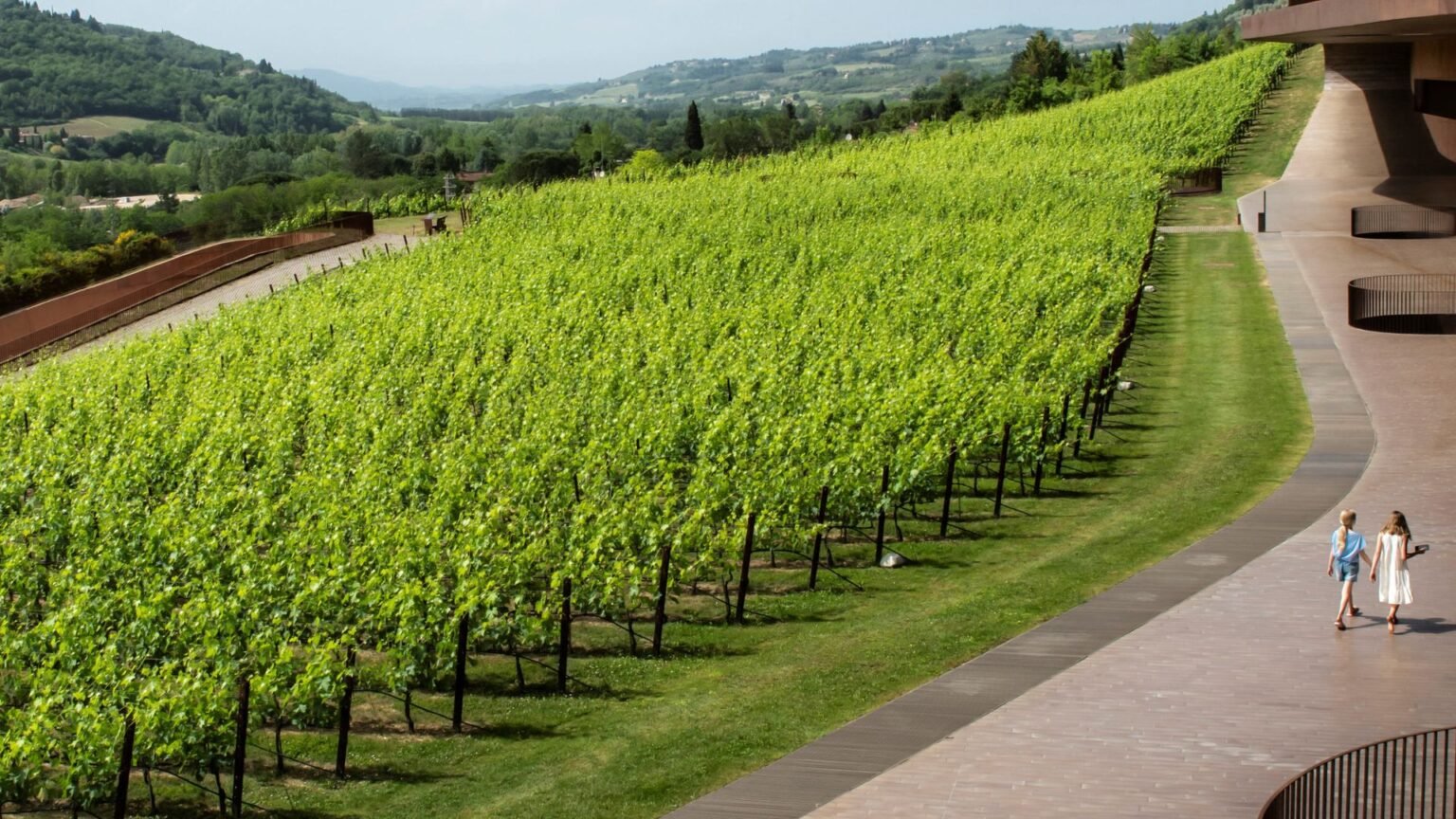 Gang of masked men stole £4.2m worth of red wine from Italy