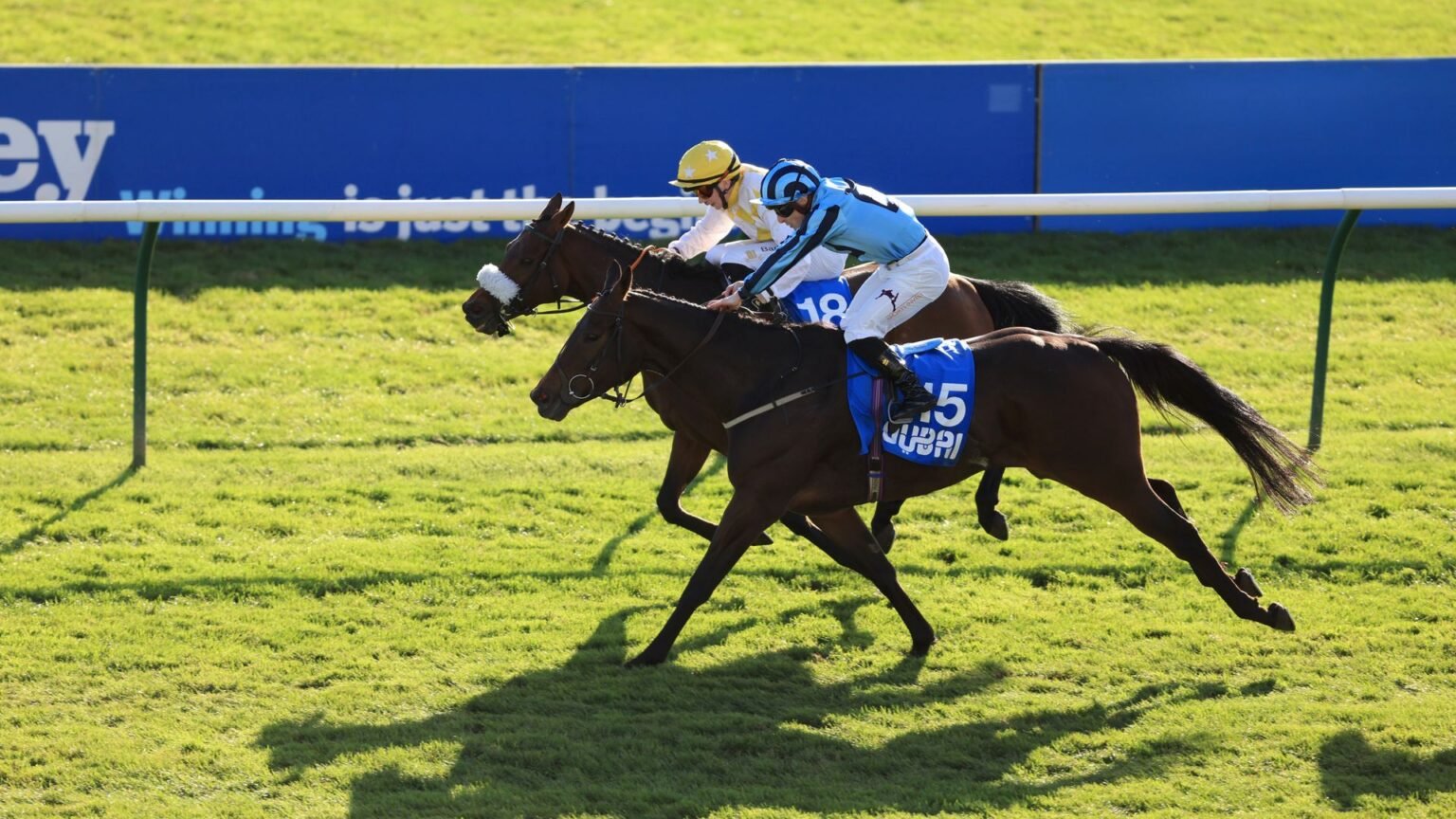 Alphonse Le Grande edges Sea Lantern for historic Cesarewitch win