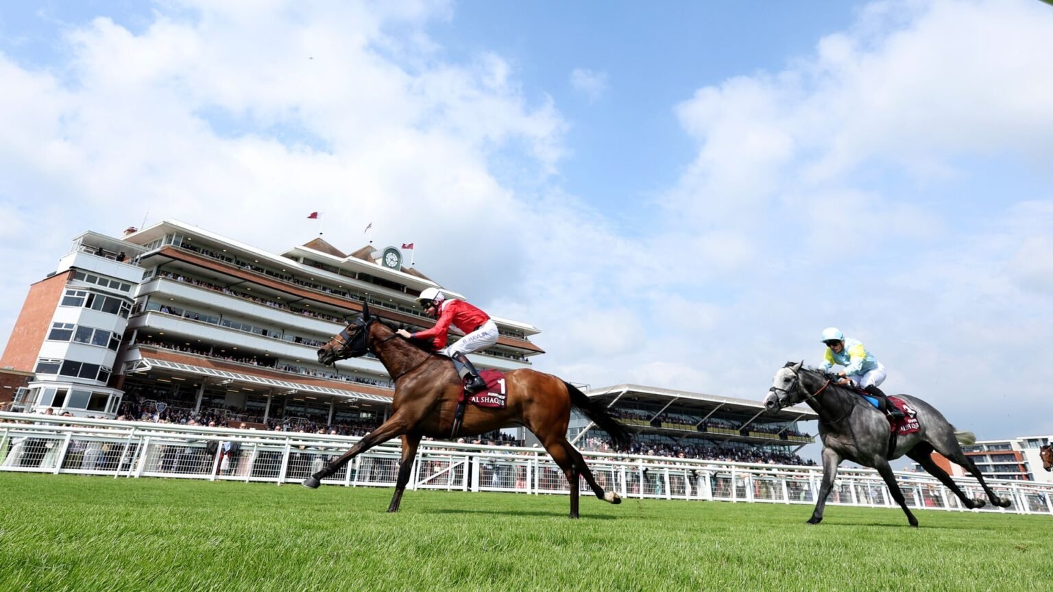 Audience's full-sister makes first start at Southwell