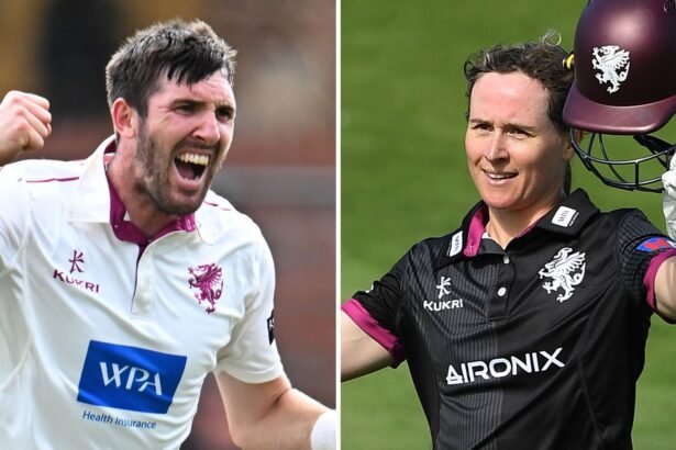 Somerset pair Overton and Luff win PCA awards