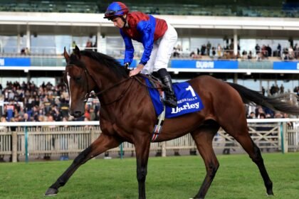 Darkness Falls strikes Dewhurst gold for O'Brien