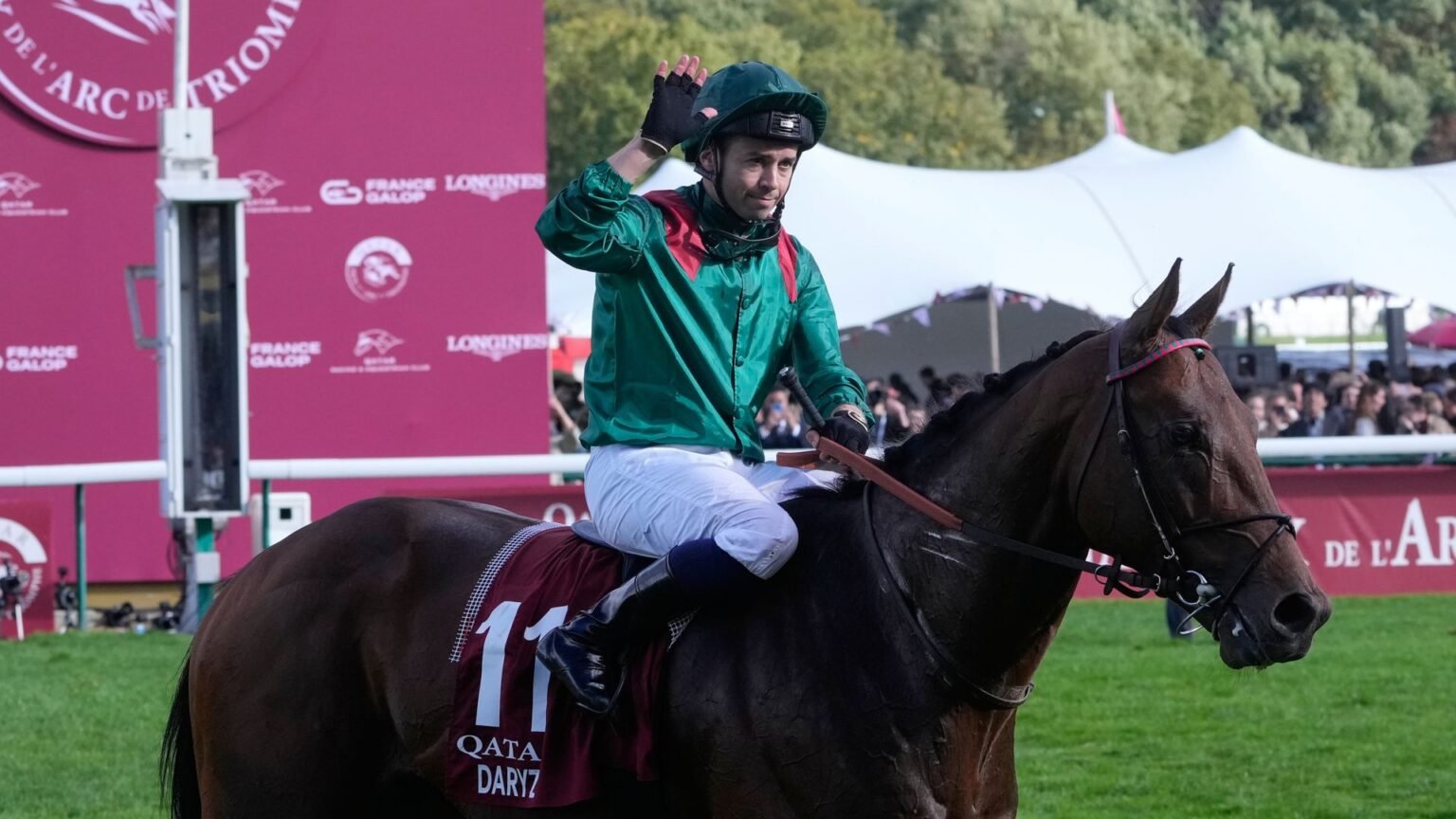 Dual Arc hero Daryz retired to stud