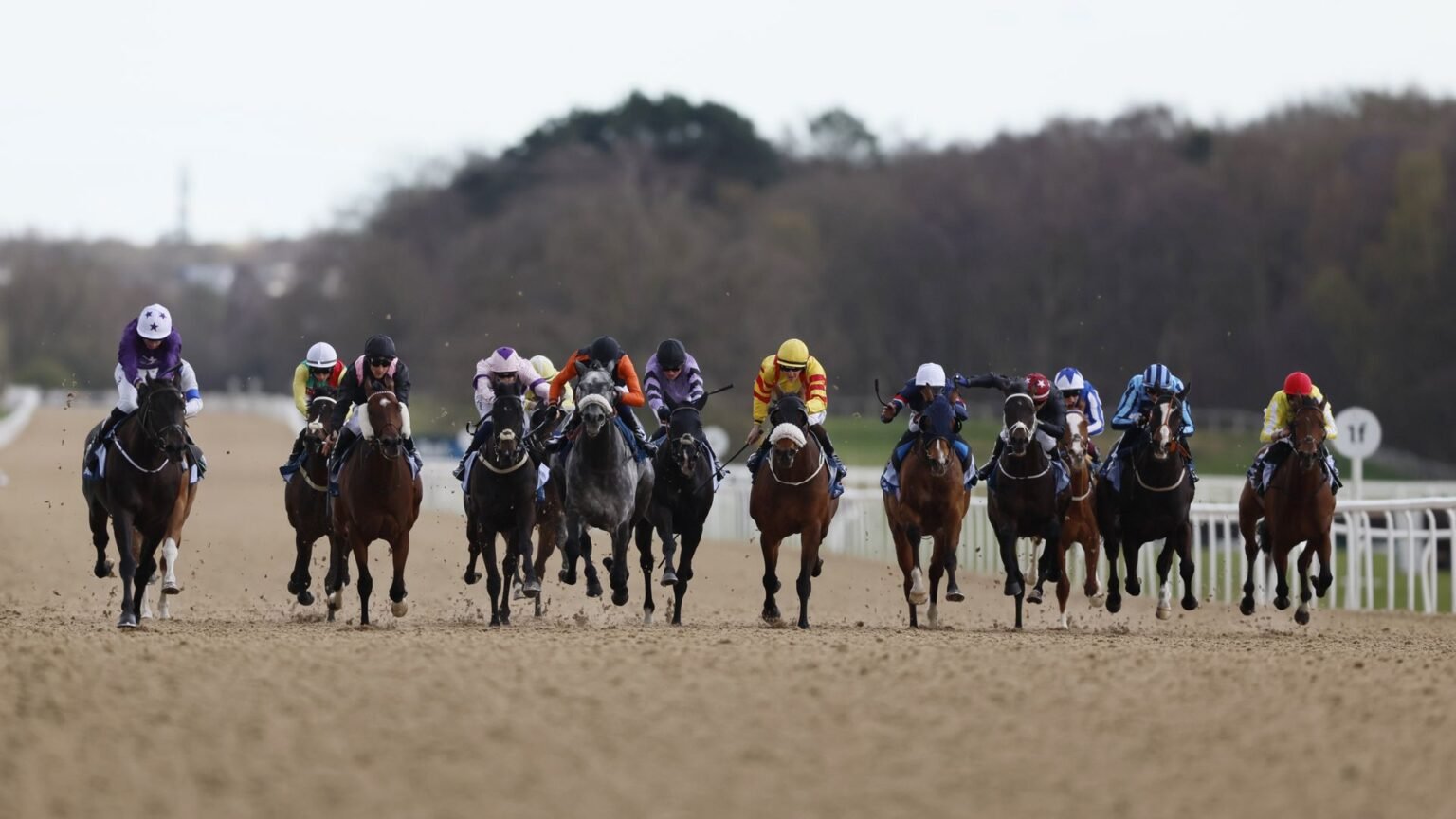 Today on Sky Sports Racing: Havana Lightning and Blake's Monarch clash at Newcastle