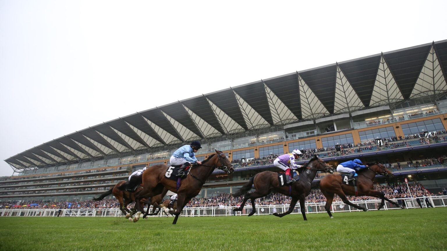 Infraad looks to bring up a hat-trick at Ascot
