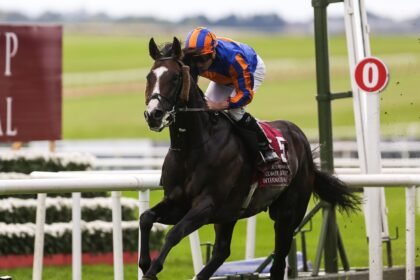 Scandinavia seeks sixth Group 1 in Prix du Cadran