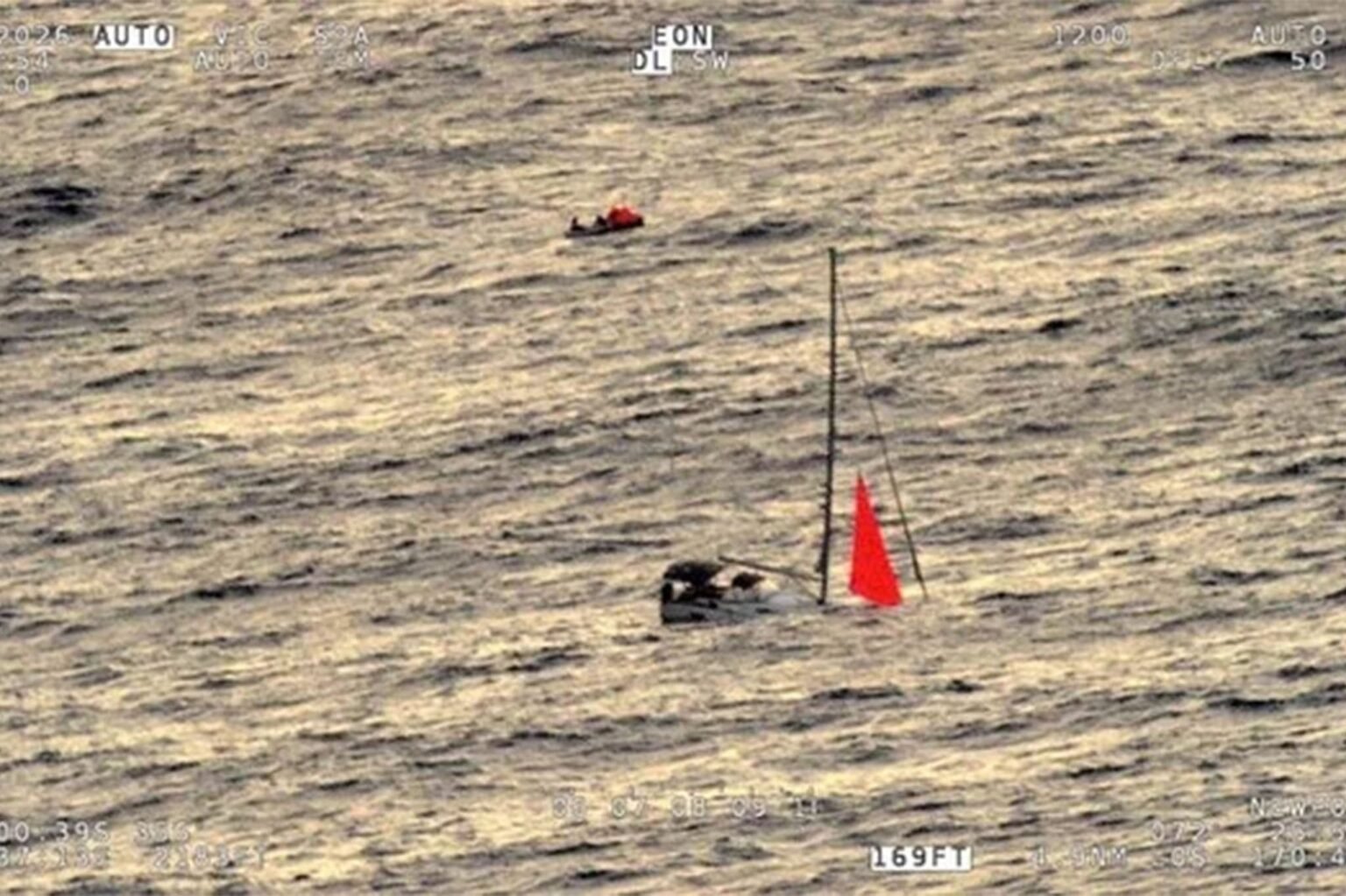 Gang of eight sperm whales sink yacht after ramming boat in South Pacific