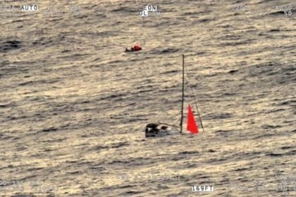 Gang of eight sperm whales sink yacht after ramming boat in South Pacific