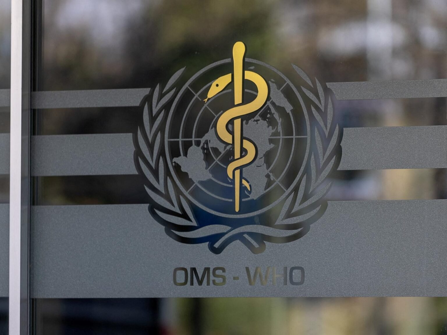 WHO officials say unclear how Russia plague lab worker died