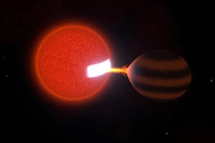 MIT astronomers catch a star in a feast that could last billions of years
